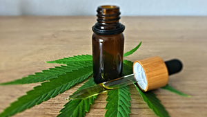 Cannabi$ Pue Essential Oil