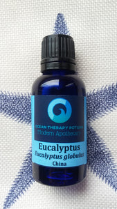 Eucalyptus Globulus Essential Oil - ORGANIC